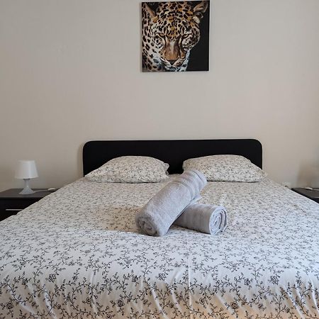 Le Mirage - Appartement 2 Chambres, Salon, Cuisine Equipee, Parking Et Wifi Gratuit Mulhouse Esterno foto